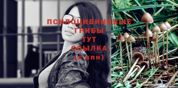соль ск Алексин