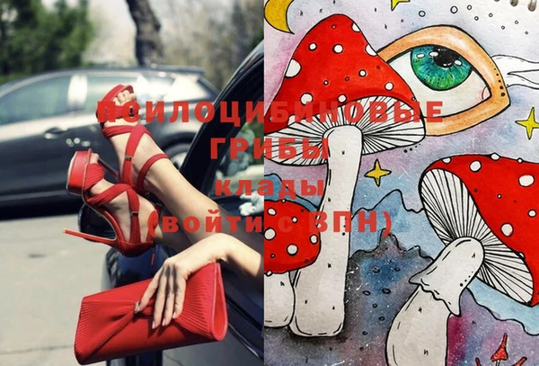 COCAINE Алексеевка