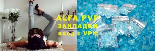 apvp Алзамай