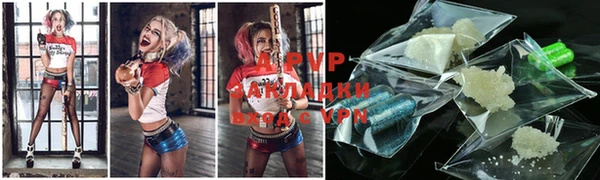 apvp Алзамай